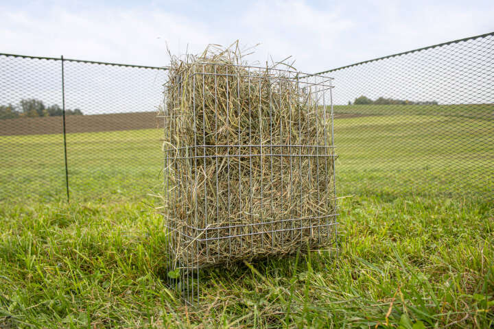 KERBL Kleintier-Raufe